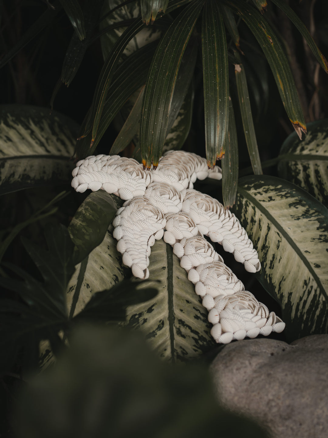 Palmier en coquillages de Bali