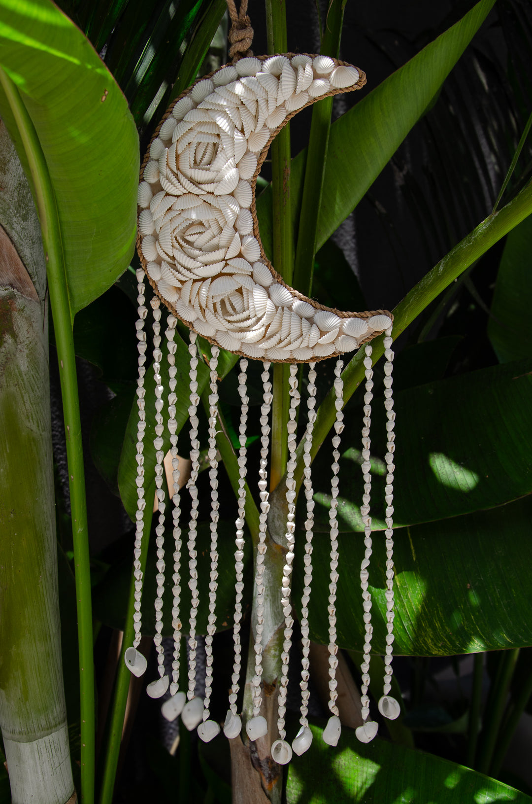 Bali Shell Moon Wall Decor