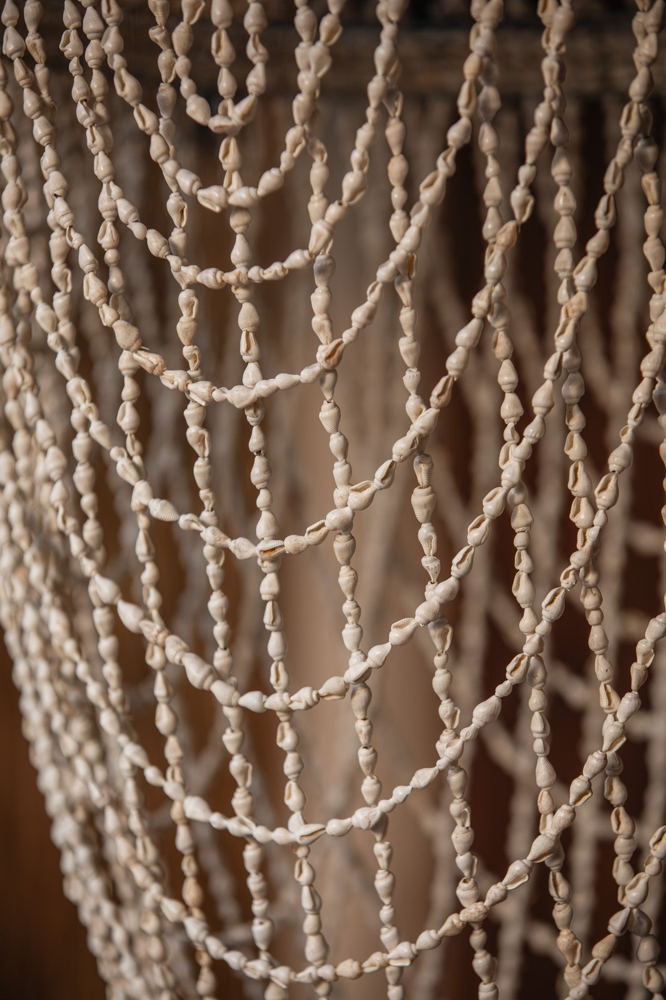CAURIS PERLES DE COQUILLAGE-art divinatoire CAURIS PERLES DE COQUILLAGE-art divinatoire