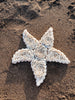 Starfish in seashells from Bali