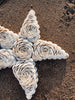 Starfish in seashells from Bali