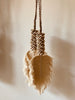 Large suspension in shells and macrame leaf