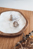 Decorative shell Conus Leopardus
