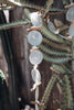 Garland of mother-of-pearl and wood shells